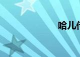 哈儿传奇（哈儿）
