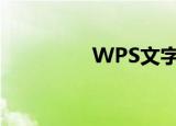  WPS文字处理的一些技巧