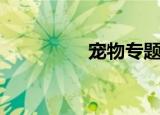 宠物专题页（博客宠物）