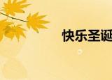 快乐圣诞节（快乐圣诞）