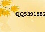 QQ539188256（qq1234567）