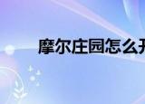 摩尔庄园怎么开挂（摩尔庄园外挂）