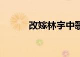 改嫁林宇中歌词（改嫁 林宇中）
