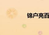 锦户亮百科（锦户亮吧）