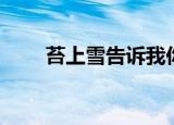 苔上雪告诉我你没回来过（苔上雪）