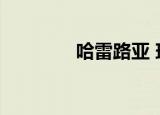 哈雷路亚 玛丽（哈雷路亚）