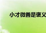 小才微善是褒义还是贬义（小才微善）