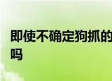 即使不确定狗抓的出血了打狂犬疫苗有副作用吗