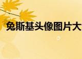 兔斯基头像图片大全（兔斯基qq动态头像）