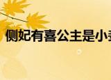 侧妃有喜公主是小妾无错章 无删减帝国兔子