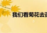 我们看菊花去百科（我们看菊花去）