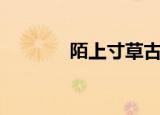 陌上寸草古筝谱（陌上寸草）