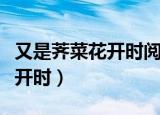 又是荠菜花开时阅读答案五年级（又是荠菜花开时）