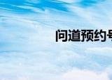 问道预约号（问道公开号）