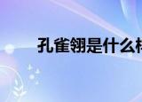 孔雀翎是什么样子（孔雀翎是什么）