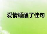 爱情睡醒了佳句（爱情睡醒了经典台词）