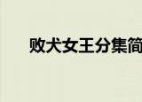 败犬女王分集简介（败犬女王演员表）