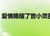爱情睡醒了曾小贤乱入（爱情睡醒了曾小贤）