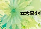 云天空小说（空中网小说）