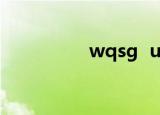 wqsg  umd足球俱乐部