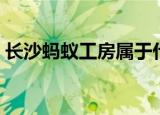 长沙蚂蚁工房属于什么社区（长沙蚂蚁工房）