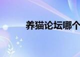 养猫论坛哪个比较好（养猫论坛）