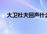 大卫杜夫回声什么味道（大卫杜夫回声）