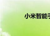  小米智能手机相机测量心率