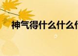 神气得什么什么什么什么（什么的神气）