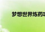 梦想世界炼药攻略（梦想世界炼药）