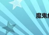 魔鬼鱼（mogii）