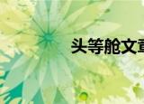 头等舱文章（头等舱杂志）