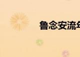 鲁念安流年摘抄（鲁念安）