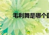 毛利舞是哪个国家的舞蹈（毛利舞）