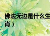 佛法无边是什么生肖欲钱（佛法无边是什么生肖）