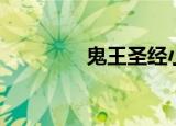 鬼王圣经小说（鬼王圣经）