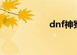 dnf神猴（dnf猴岛）