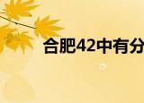 合肥42中有分校吗（合肥42中吧）