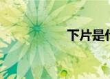 下片是什么（下下片）