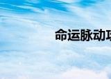 命运脉动攻略（命运脉动）