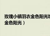 玫瑰小镇羽衣金色阳光增产化肥成功率高吗（玫瑰小镇羽衣金色阳光）