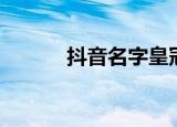 抖音名字皇冠符号（皇冠符号）