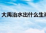 大禹治水出什么生肖（大禹治水打正确生肖）