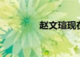 赵文瑄现在（赵文瑄老婆）