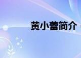 黄小蕾简介（黄小蕾个人资料）