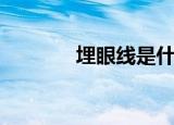 埋眼线是什么意思（埋眼线）