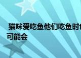  猫咪爱吃鱼他们吃鱼时也可能被鱼刺卡到吗1、肯定不会 2、可能会