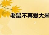 老鼠不再爱大米dj（老鼠不再爱大米）
