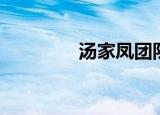 汤家凤团队郭丽（汤家丽）