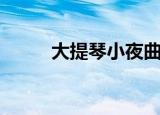 大提琴小夜曲海顿（小夜曲海顿）